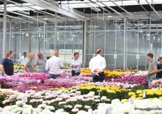 In Deliflor's greenhouse, there was busy discussion among the flowers.